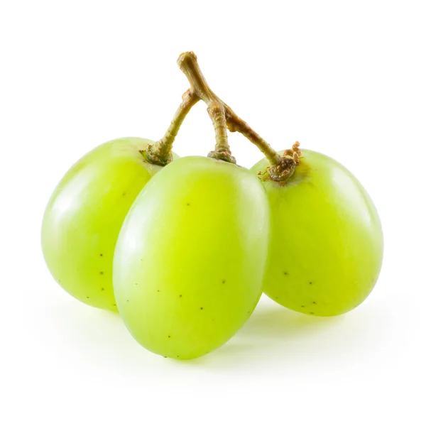 Zöld szőlő. Három bogyók elszigetelt fehér háttér — Stock Fotó