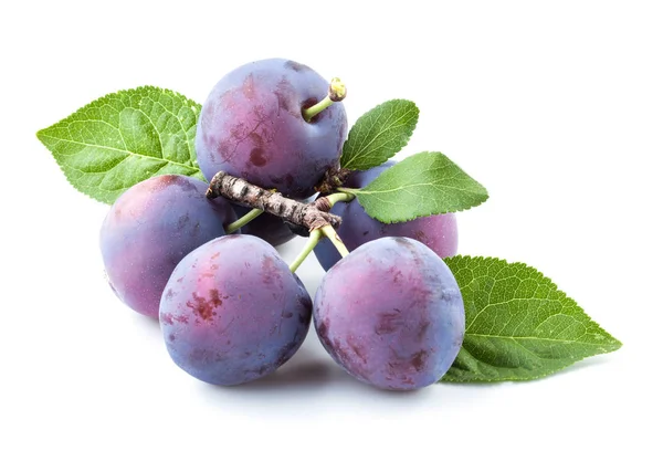 Plum and leaves on a white background — Stock Photo, Image