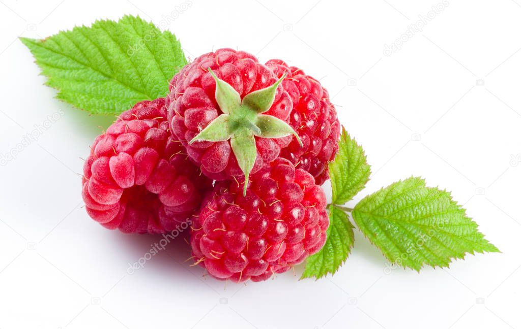 Fresh raspberry, fruit with leaves isolated