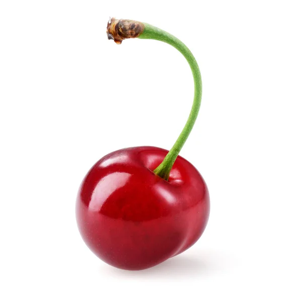 Cherry izolované na bílém pozadí — Stock fotografie