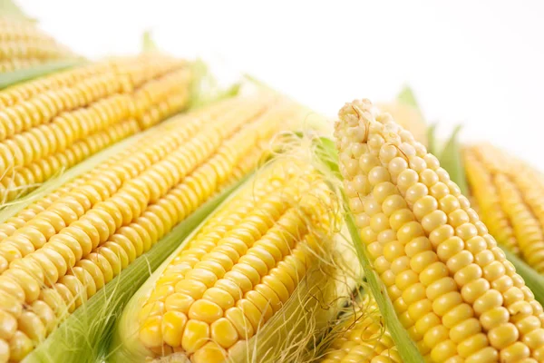 Corn Corn Background Food Background — Stock Photo, Image