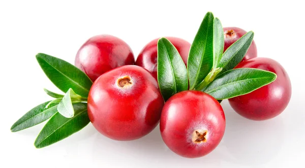 Cranberry no fundo branco — Fotografia de Stock