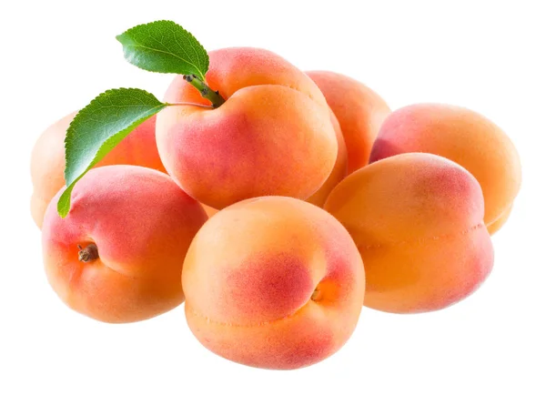 Apricot. Group of fruit isolated on white background — Stock Photo, Image