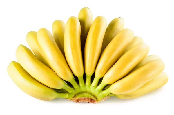 Bunch of baby bananas isolated on white background — Stock Photo, Image