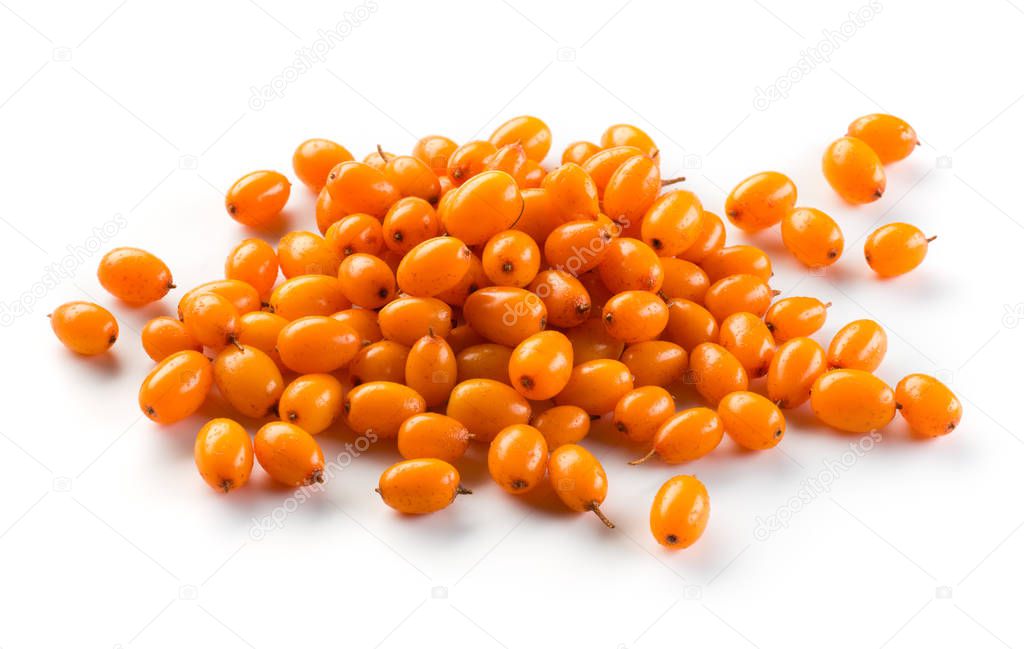 Sea buckthorn berries on a white background