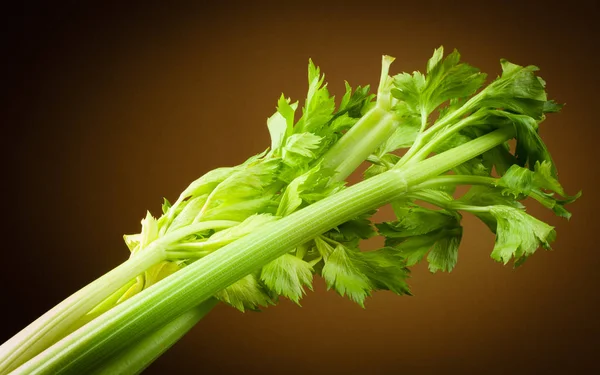 Seledri organik. Stalk dengan daun — Stok Foto