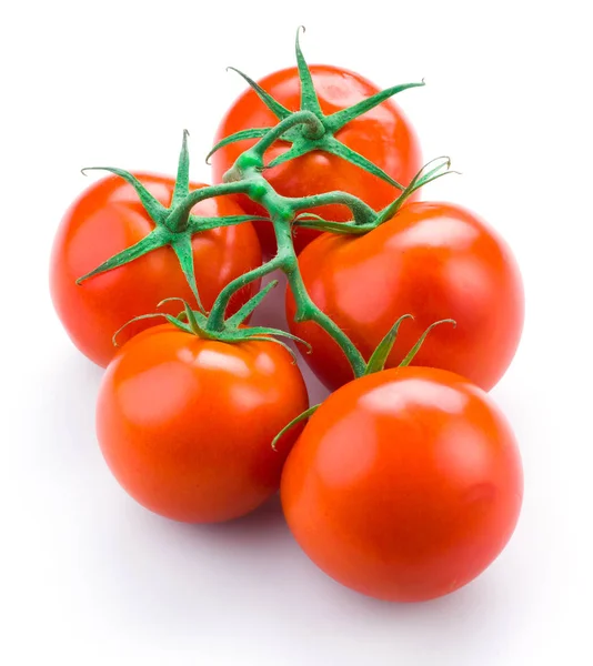 Pomodori ciliegia su ramo — Foto Stock