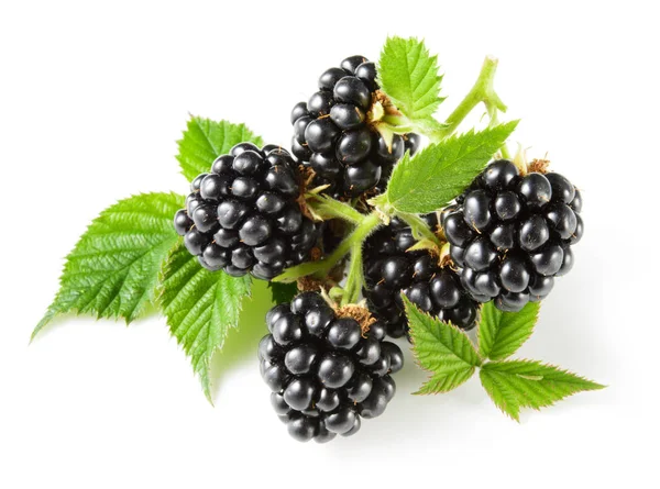 黑莓手机。孤立在白色的浆果 — 图库照片