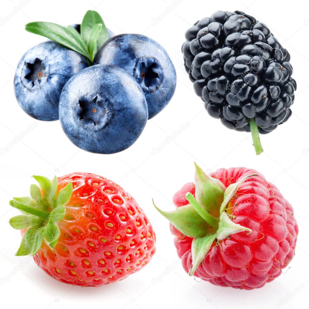 Strawberry, raspberry, blueberry, mulberry isolated on white
