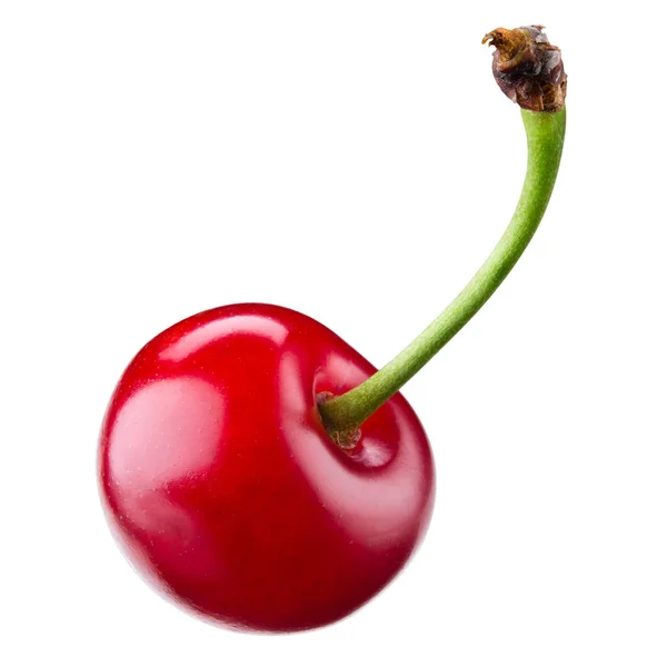 Cherry isolated. Sour cherry on white background With clipping path. — 스톡 사진