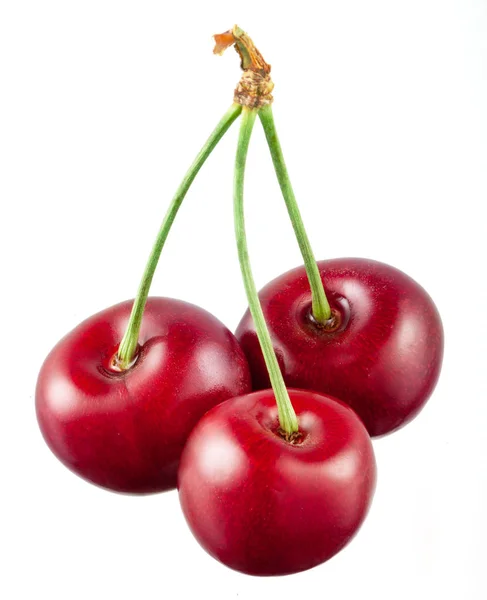 Cherry terisolasi pada latar belakang putih. Ceri asam. Tiga ceri merah . — Stok Foto