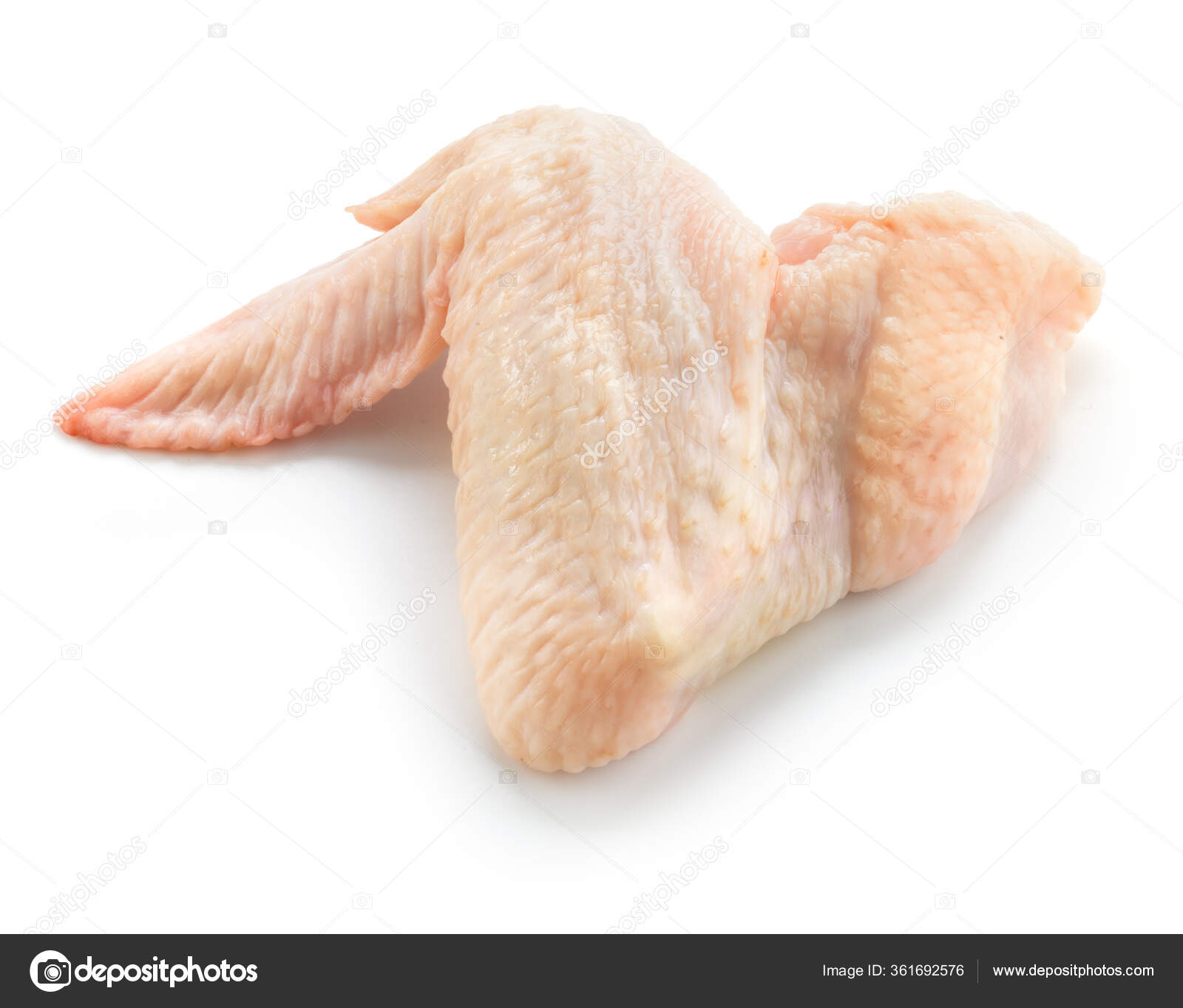 строение крыла курицы кости. скелет крыла курицы. кости куриного крыла. крыло птицы кости. трубчатая кость курицы.