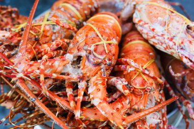 Doğal organik ıstakoz. Makro.