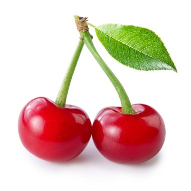 kiraz yaprağı üzerinde beyaz izole