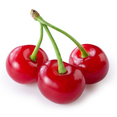 Beyaz yapraklı kiraz. kırpma yolu ile.