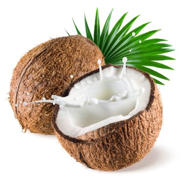 Coconut with milk splash and leaf on white background clipart