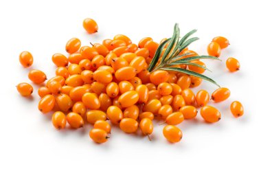 Dikenli deniz. Beyazların üzerinde izole bir yığın.