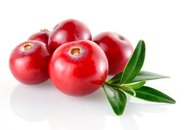 Beyaz arka planda yaprakları olan yabanmersini.