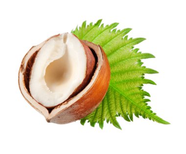 Beyaz yapraklı fındık