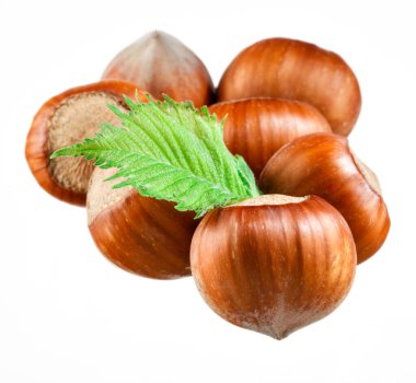 Beyaz arkaplanda izole edilmiş fındık filtreleri