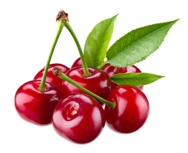 Cherry Isolato Sfondo Bianco — Foto Stock