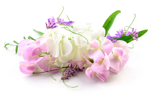 Hermosas Flores Diseño Floral —  Fotos de Stock