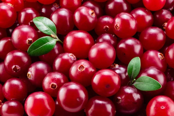 Cranberry Met Bladeren Macro Achtergrond — Stockfoto