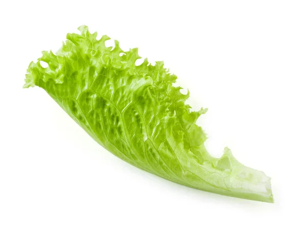 Salat Salatblatt Isoliert Auf Weißem Hintergrund — Stockfoto