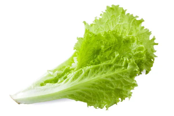 Lettuce Salad Leaves Isolated White Background — Stock Photo, Image