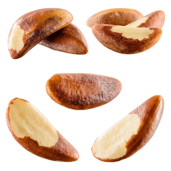 Brazil Nut Isolated White Background Collection — Stock Photo, Image