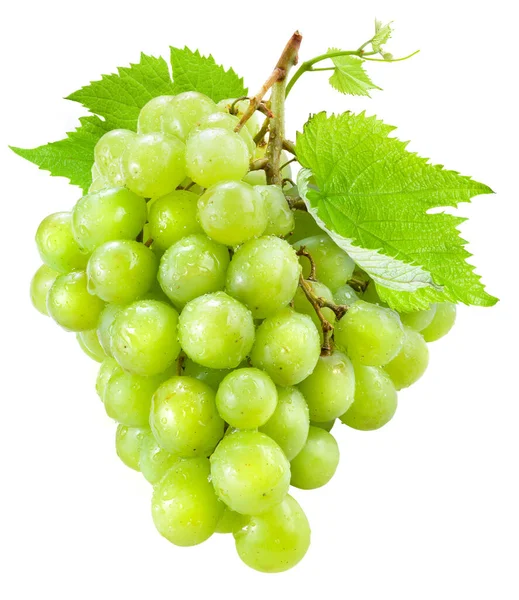 Fresh Green Grapes Leaves Isolated White — Stock Photo, Image