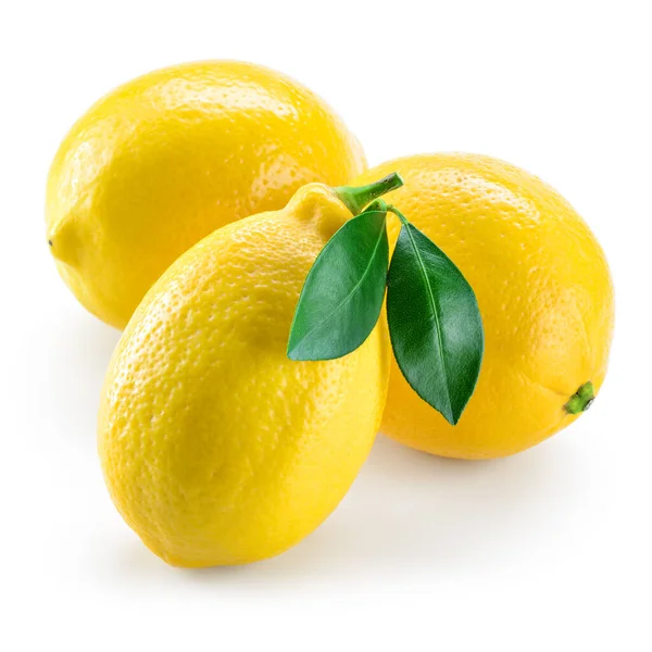 Zitrone Drei Früchte Mit Blättern Isoliert Auf Weiß — Stockfoto