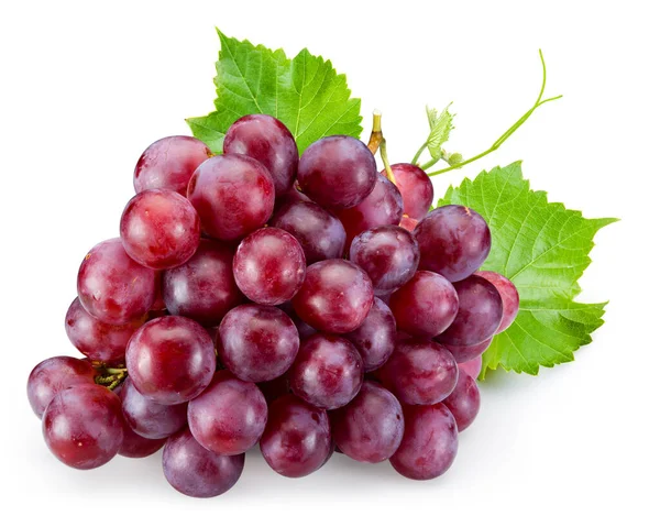 Dojrzałe Czerwone Winogrona Liśćmi Wyizolowanymi Białym — Zdjęcie stockowe