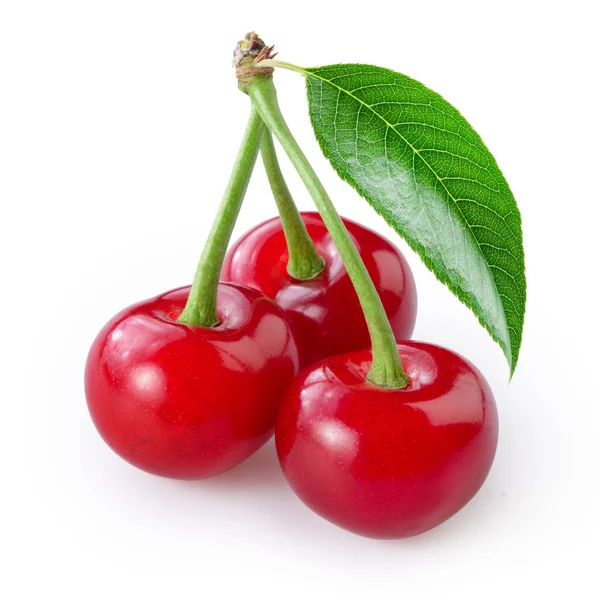 Cherry Isolated White — Stock Photo, Image