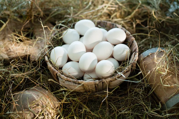 Huevos Blancos Orgánicos Nido — Foto de Stock