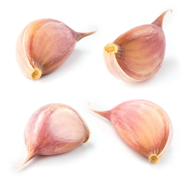 Garlic Clove Isolated White Collection — Stock Photo, Image