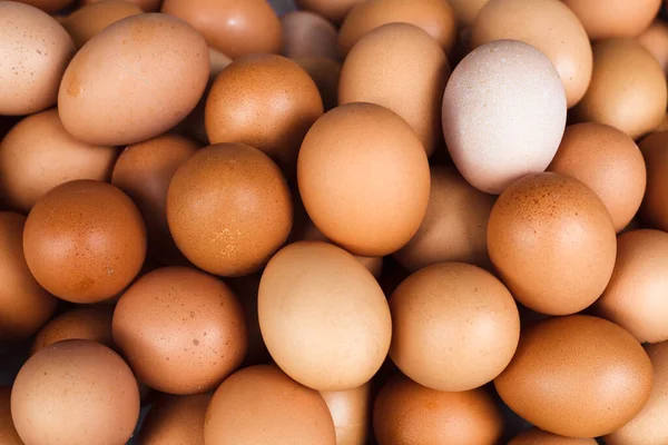 Antecedentes Huevos Domésticos Frescos Alimentos Ecológicos — Foto de Stock