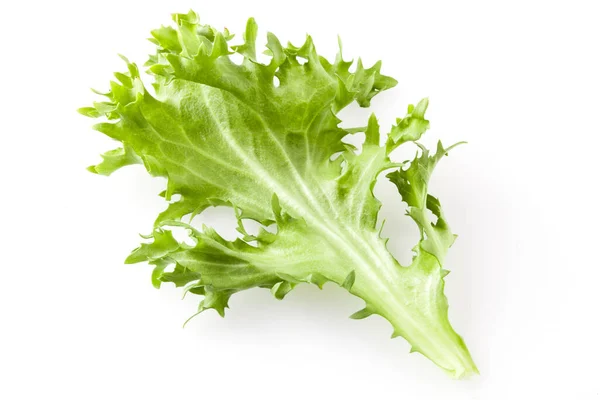 Lechuga Fresca Aislada Blanco — Foto de Stock