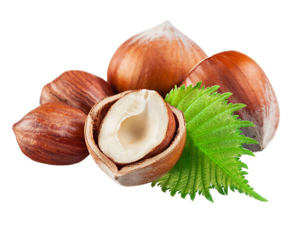 Фильтры с листьями изолированы на белом фоне
.