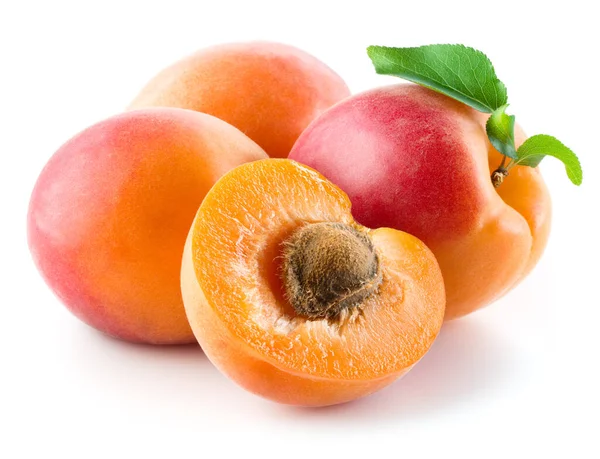 Four Apricots Isolated White Background — Stock Photo, Image