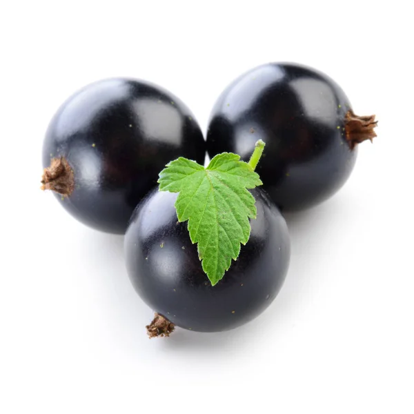 Black Currant Isolated White — Stock Photo, Image