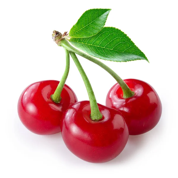 Cherry Med Leaf Isolerad Vit — Stockfoto