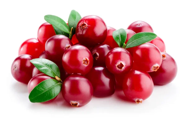 Cranberry Com Folhas Isoladas Branco — Fotografia de Stock