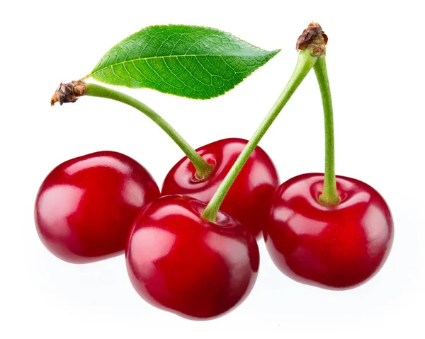 Fresh Ripe Cherry Leaves Isolated White Clipping Path — Stock Photo, Image