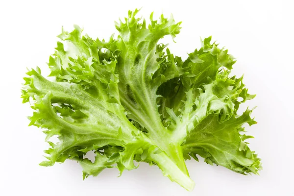 Lechuga Fresca Aislada Blanco — Foto de Stock