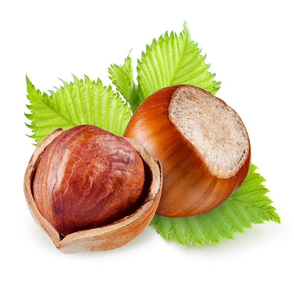 Hazelnuts Isolated White Background — Stock Photo, Image