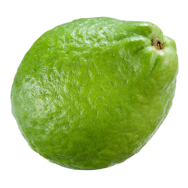 Guava Geïsoleerd Wit — Stockfoto