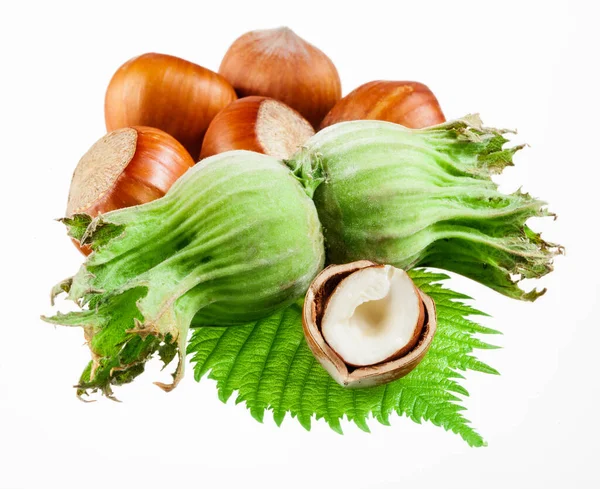 Natural Organic Hazelnuts Leaves — Stock Photo, Image