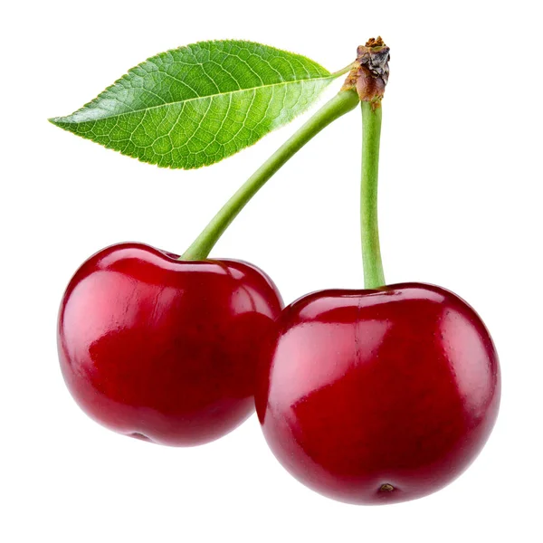Sweet Ripe Cherry Leaf Isolated White Background — Stock Photo, Image