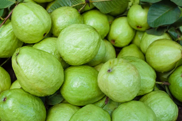 Frische Guaven Grüner Hintergrund — Stockfoto